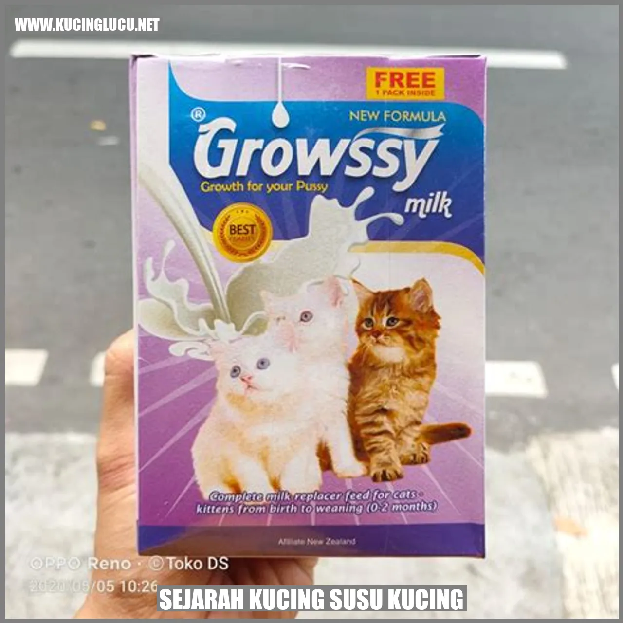 Sejarah Kucing Minum Susu