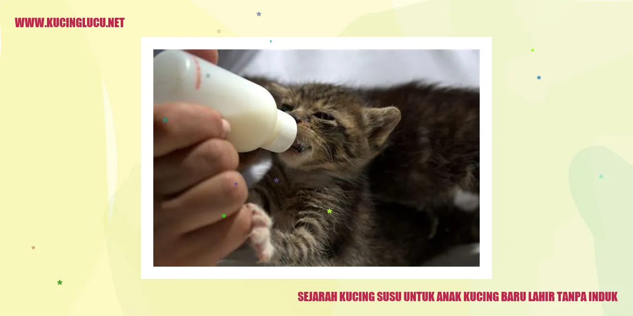 Gambar Kucing Susu