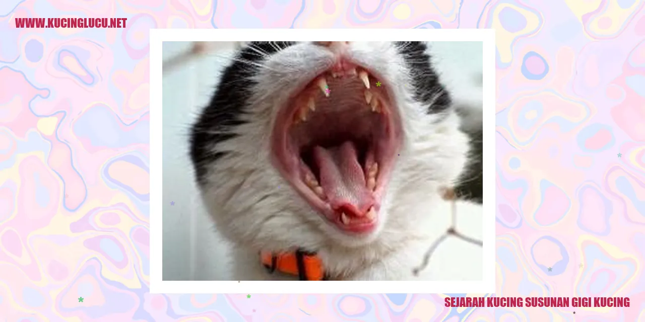 Sejarah Kucing dan Urutan Gigi Kucing
