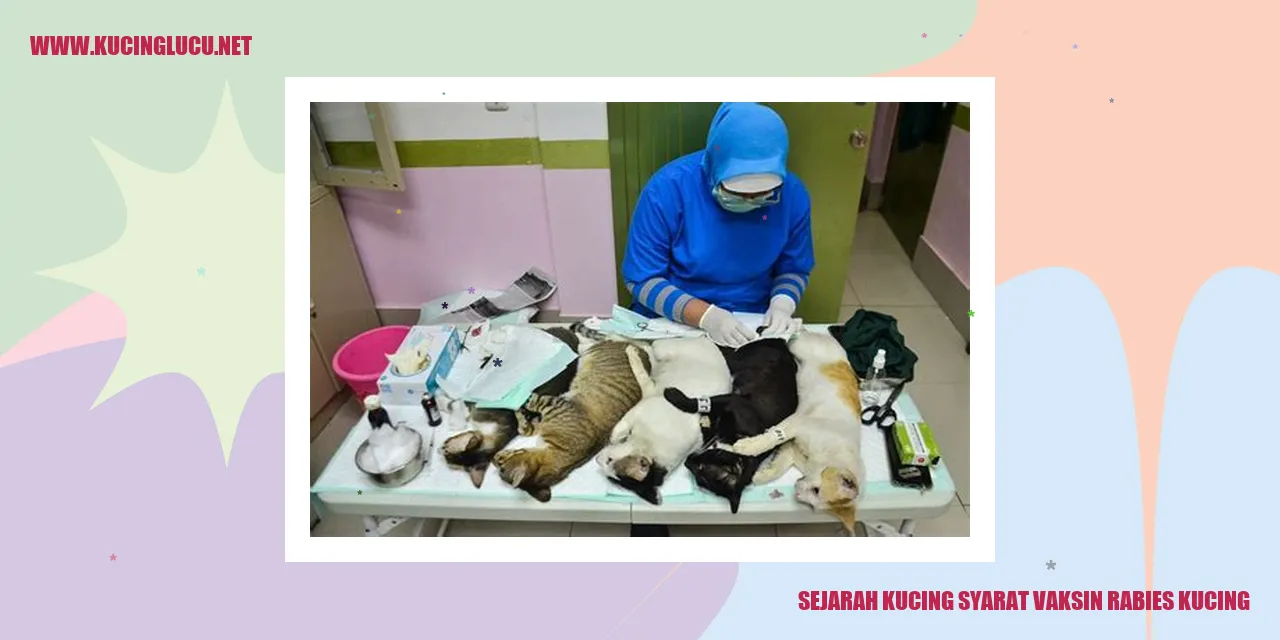 Sejarah Kucing Syarat Vaksin Rabies Kucing