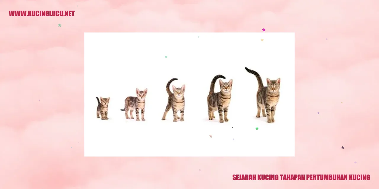 Kucing Gemes