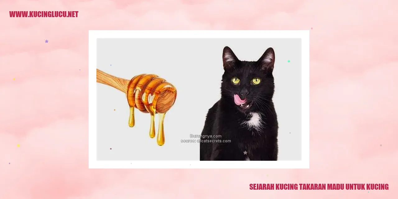 Sejarah Kucing dan Penggunaan Madu sebagai Obat