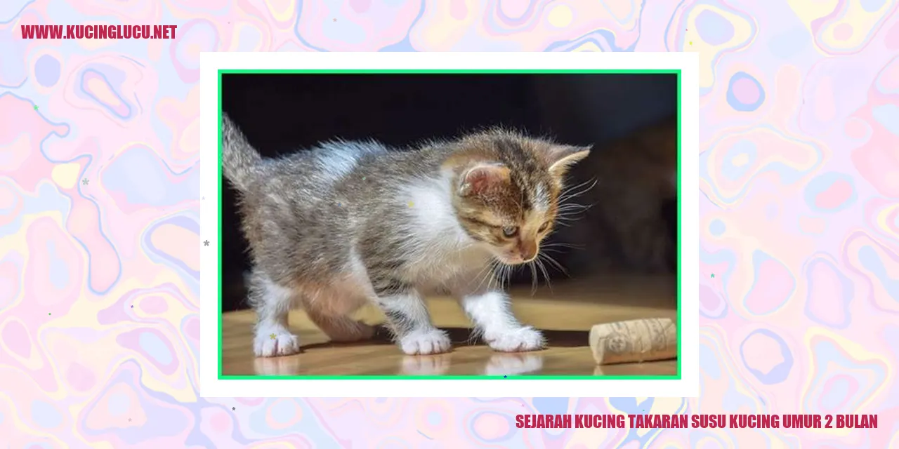 Gambar Kucing