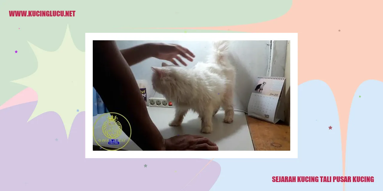 Sejarah Kucing Tali Pusar Kucing