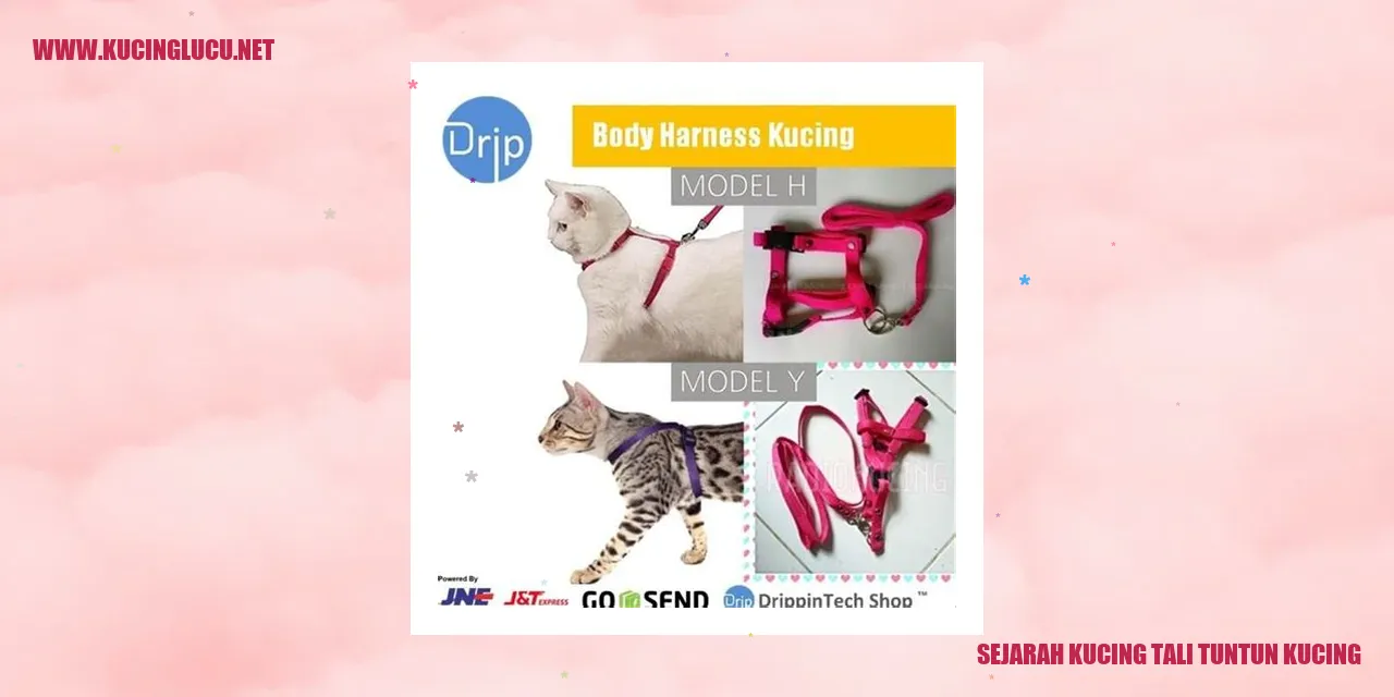 Gambar Kucing Tali Tuntun Kucing