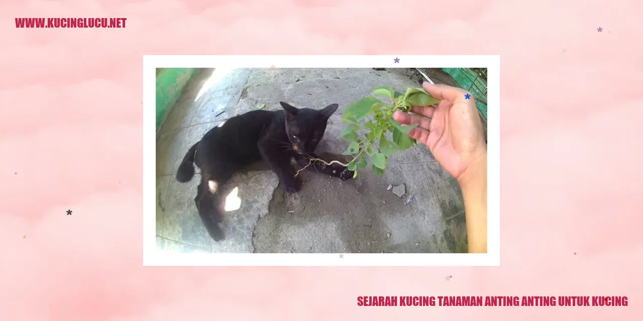 Sejarah Kucing Tanaman Anting Anting untuk Kucing