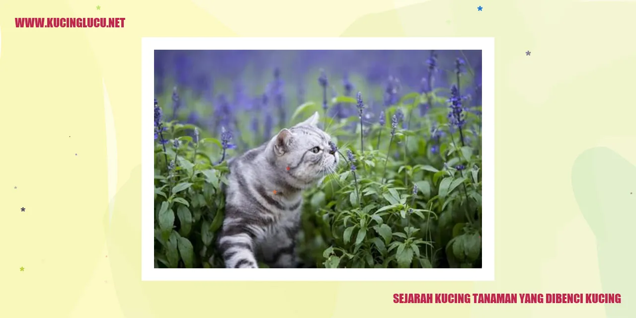 Gambar Kucing Menghindari Tanaman