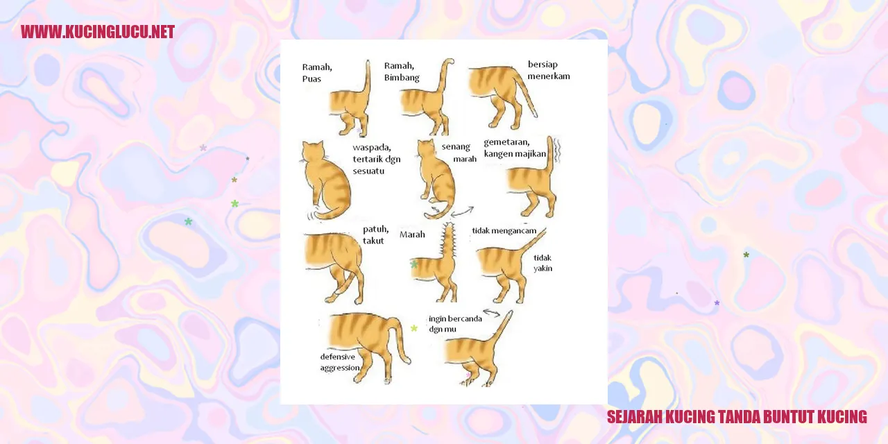 Sejarah Kucing Tanda Buntut Kucing