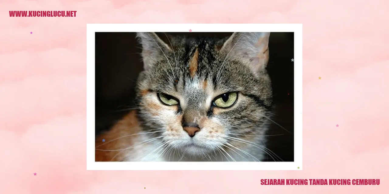 Kucing Tanda Cemburu