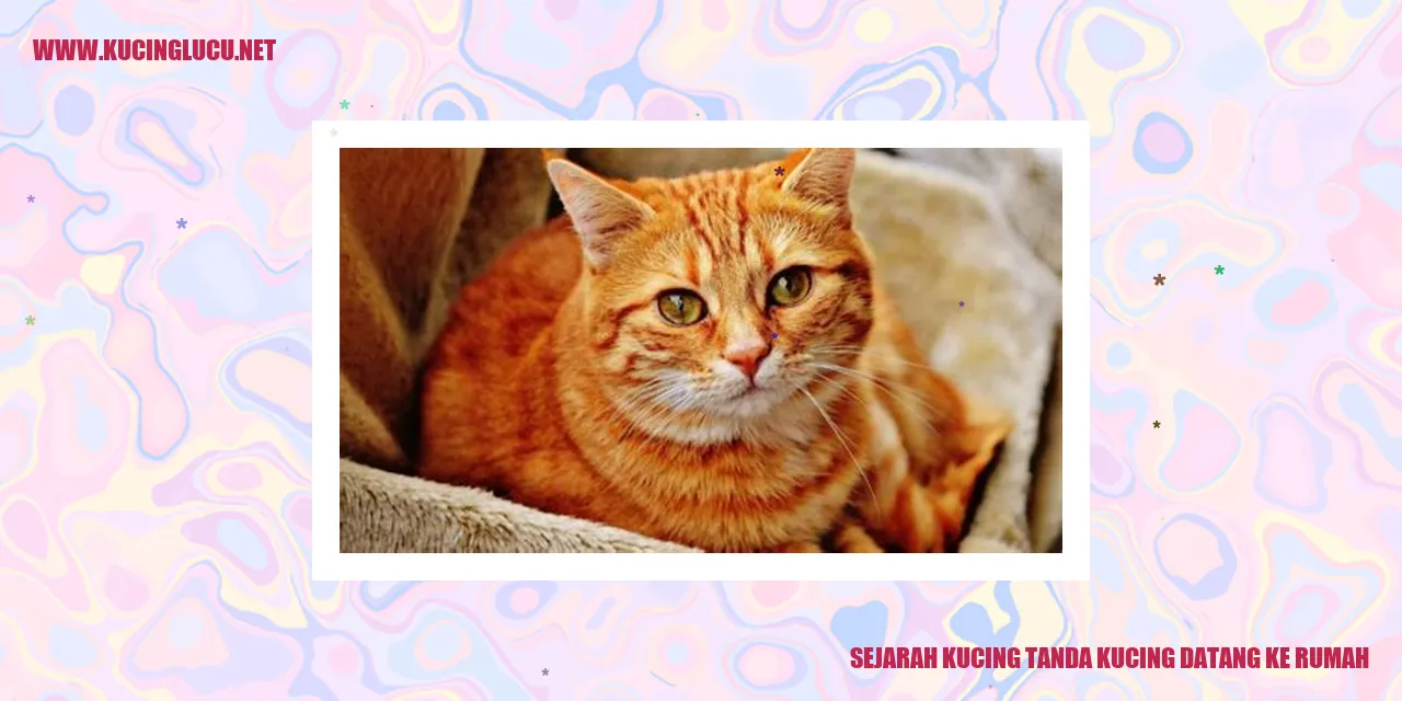 Kucing yang Menggemaskan