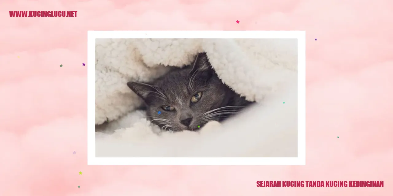 Sejarah Kucing tanda kucing kedinginan