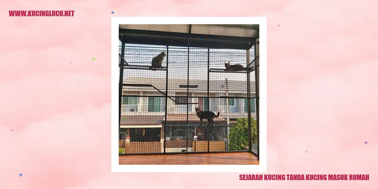 Kucing Masuk Rumah