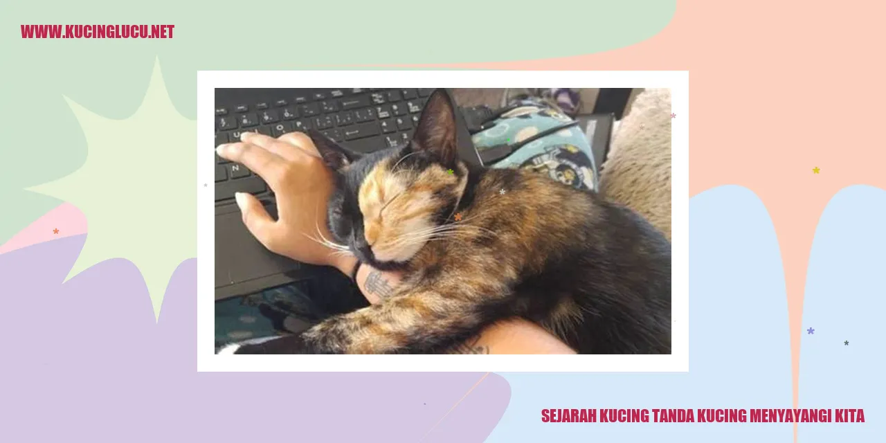 Ilustrasi Kucing Kesayangan