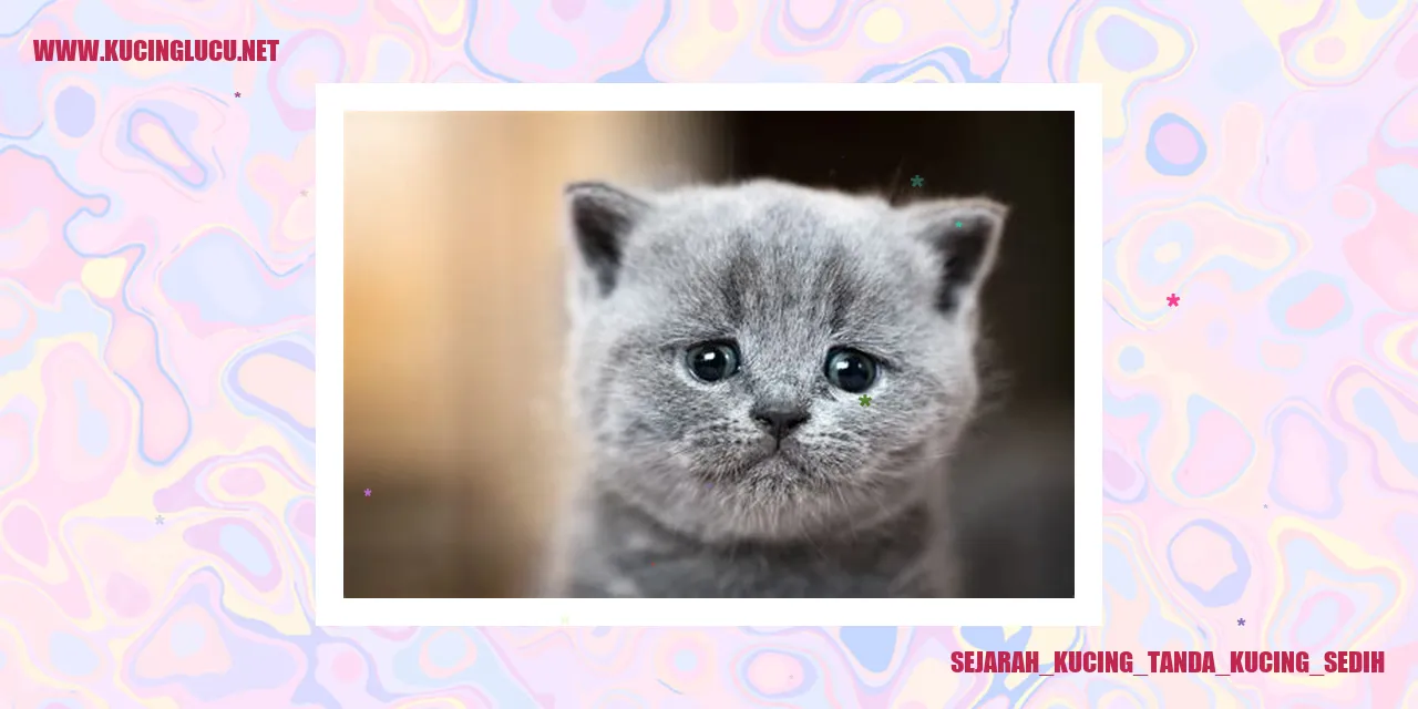 Ilustrasi Kucing Sedih