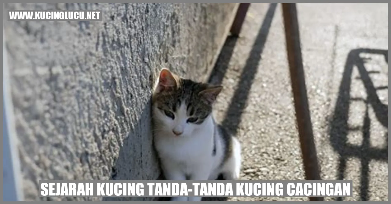 Sejarah Kucing dan Tanda-tanda Kucing Terinfeksi Cacing