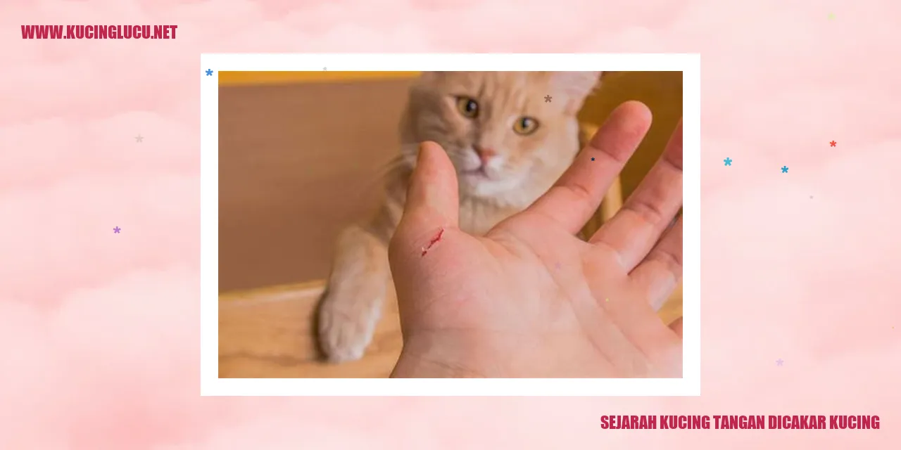 Sejarah Kucing Tangan yang Dicakar Kucing