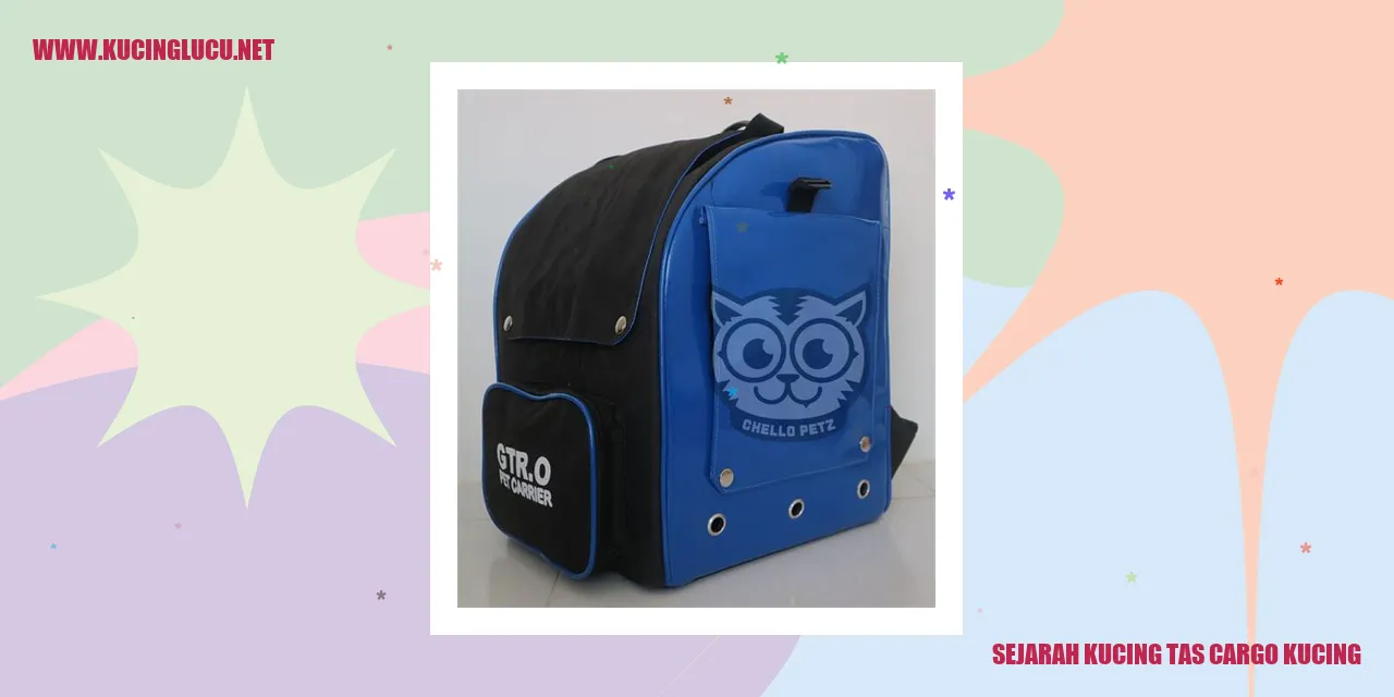 Foto kucing dalam tas cargo