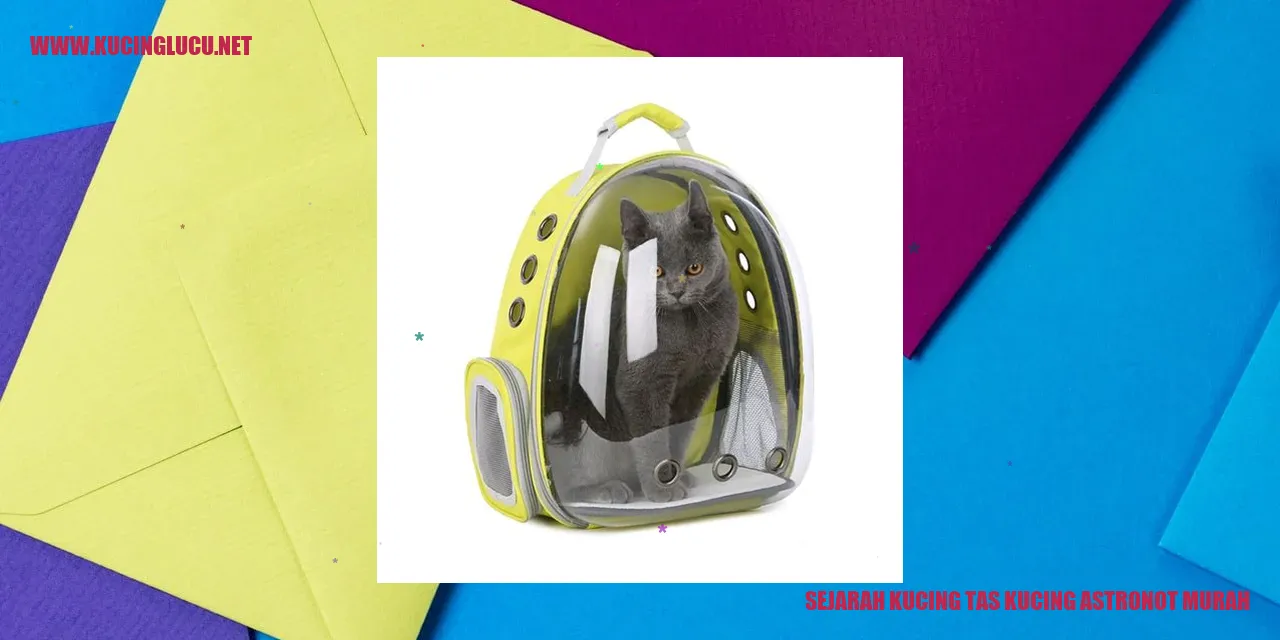 Tas kucing astronot