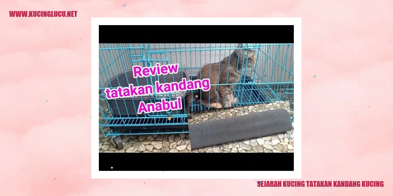 Sejarah Kucing Tatakan Kandang Kucing