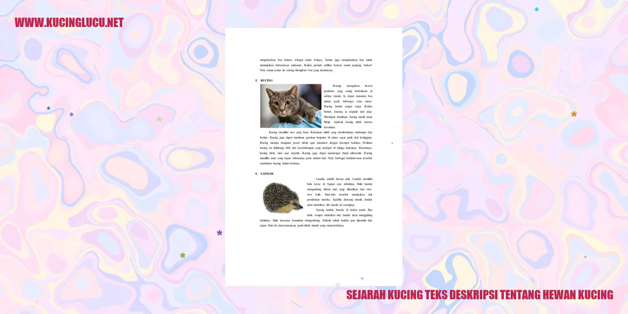 Gambar kucing