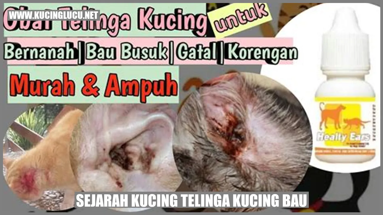 Telinga Kucing Bau