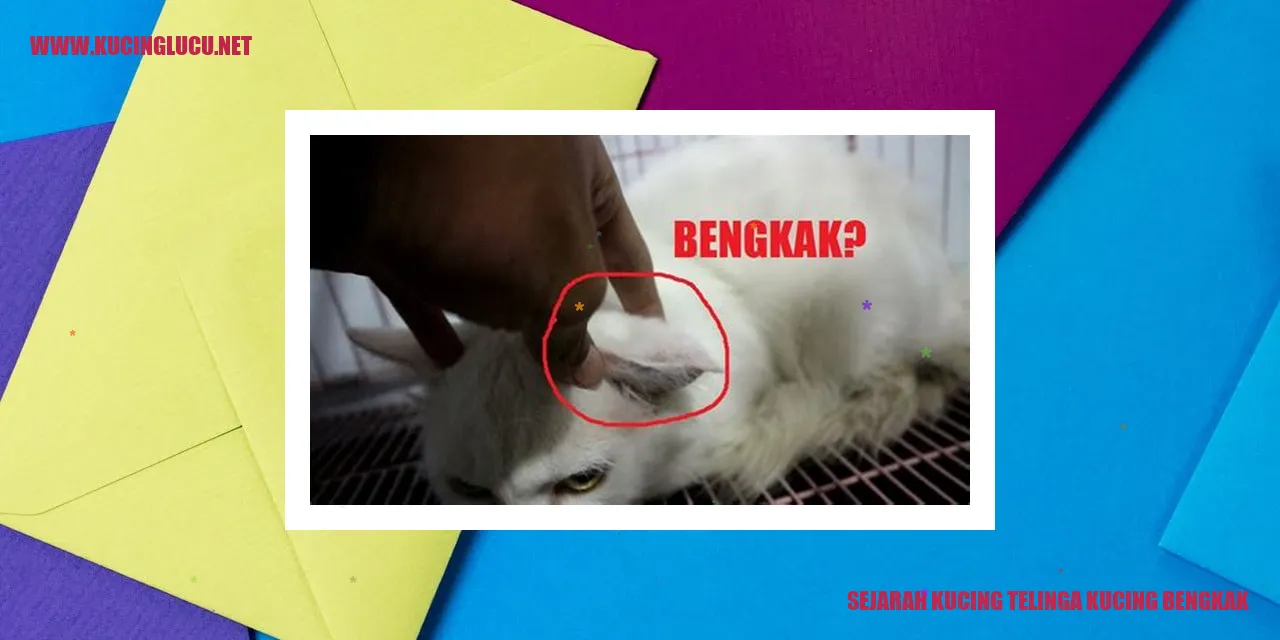 Gambar Kucing dengan Masalah Telinga Bengkak