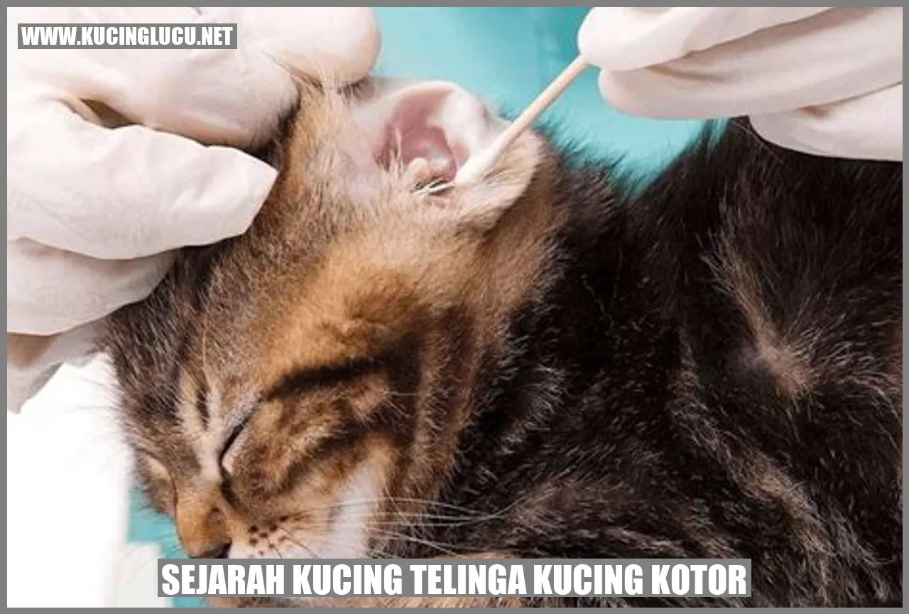 Kucing Telinga Melipat