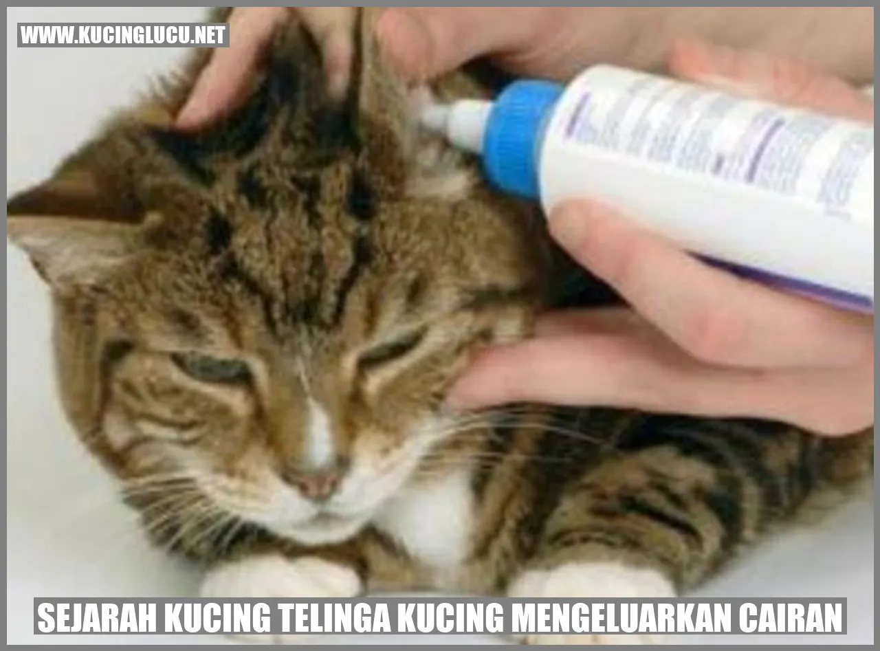 Gambar: Keunikan Telinga Kucing yang Mengeluarkan Sekresi