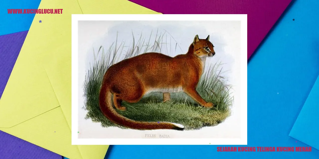 Kucing Telinga Kucing Merah