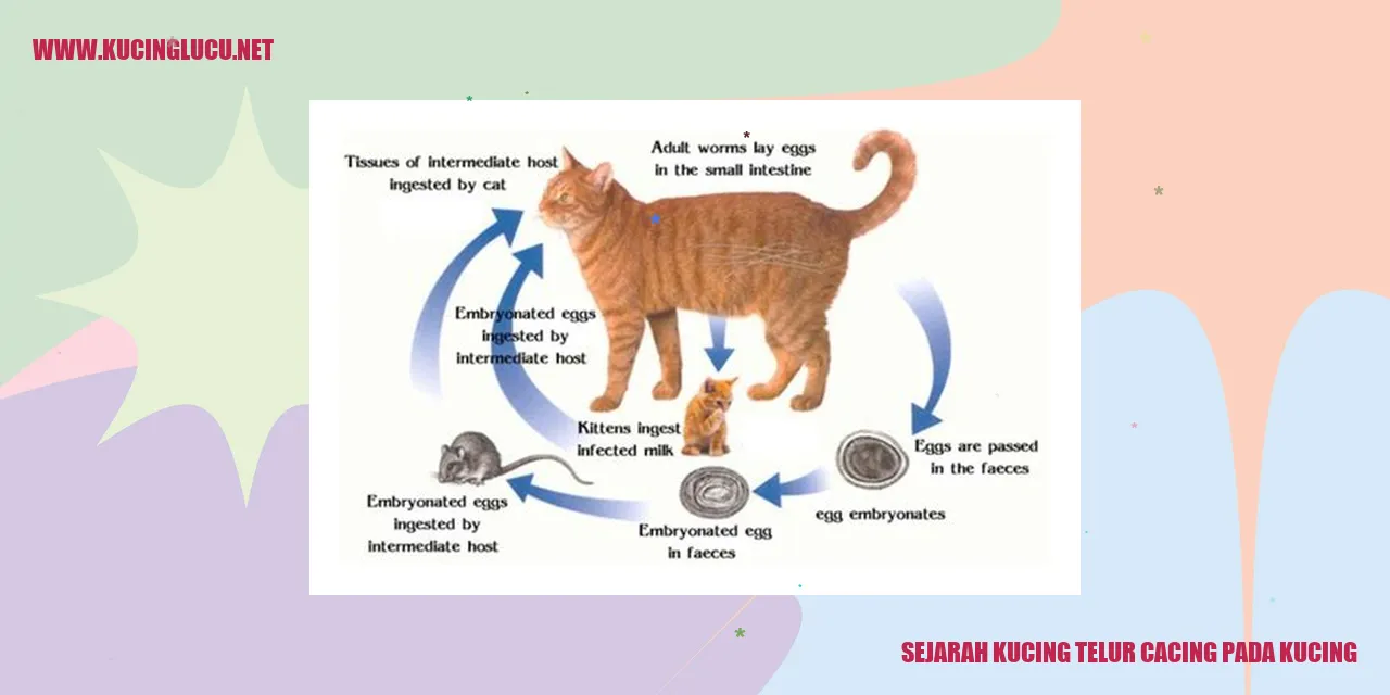 Gambar Kucing Terkena Cacing