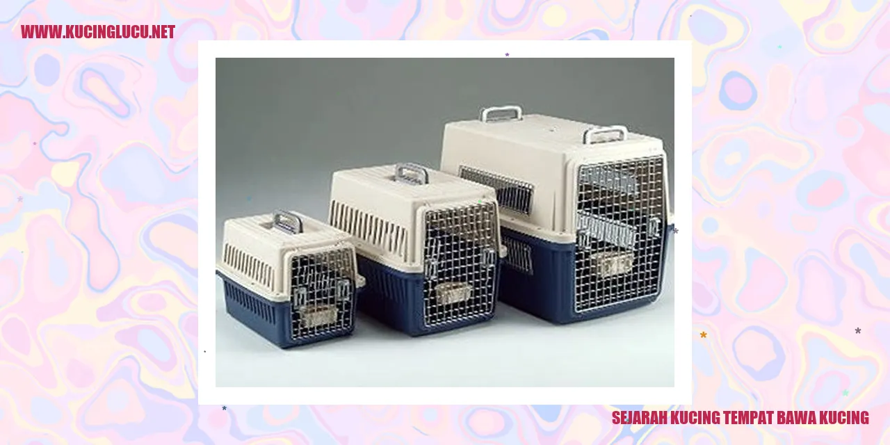 Sejarah Kucing tempat bawa kucing
