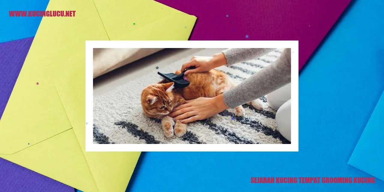 Sejarah Kucing tempat grooming kucing