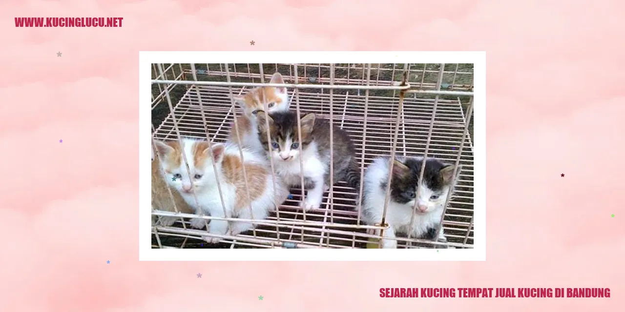 Sejarah Kucing Tempat Jual Kucing di Bandung
