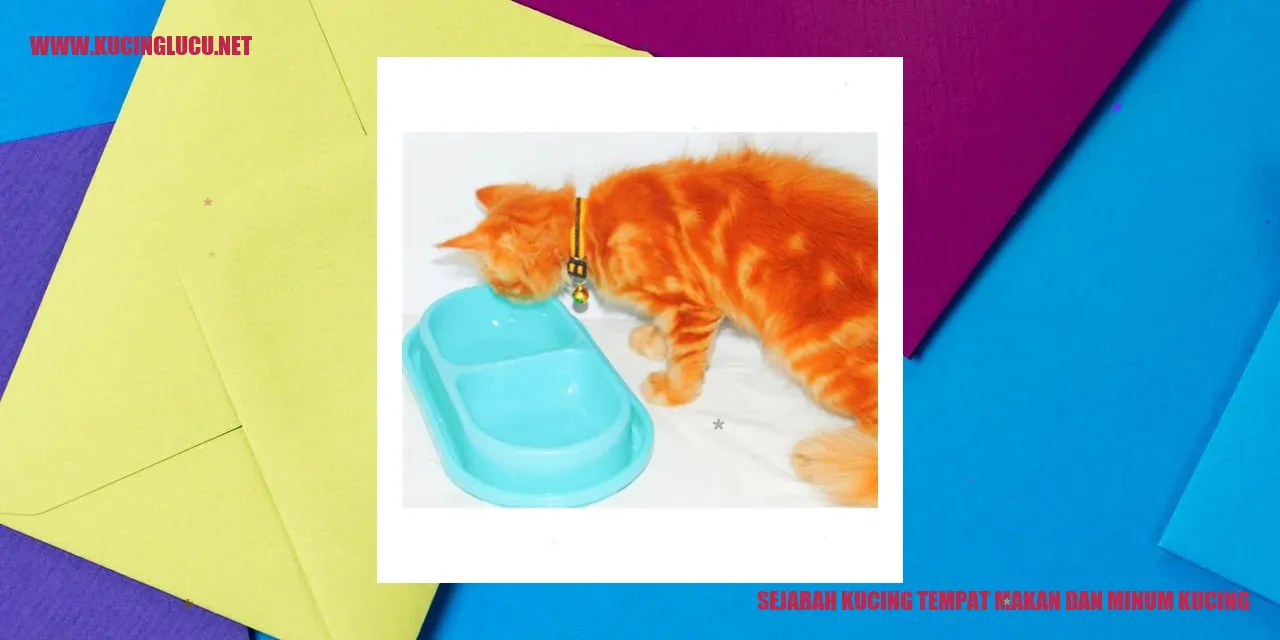 Gambar mangkuk makan dan minum kucing