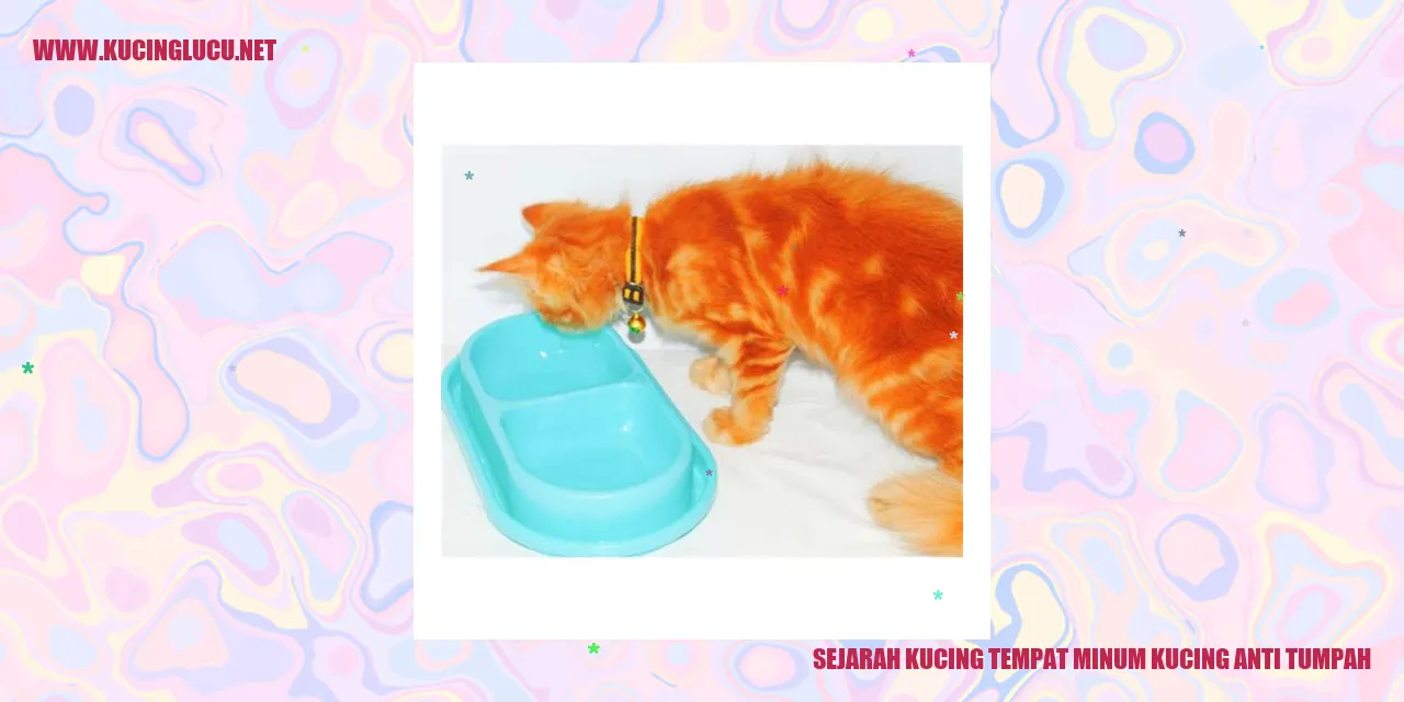 Kucing minum anti-tumpah