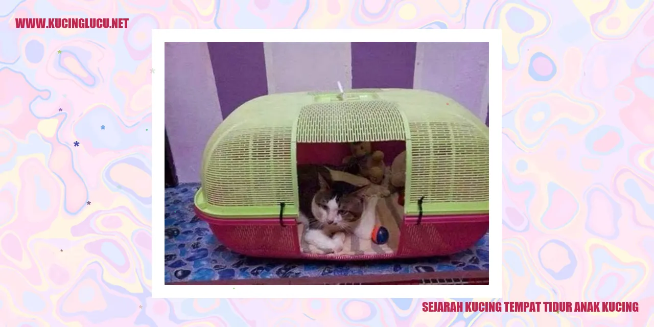 Gambar Kucing Tempat Tidur Anak Kucing