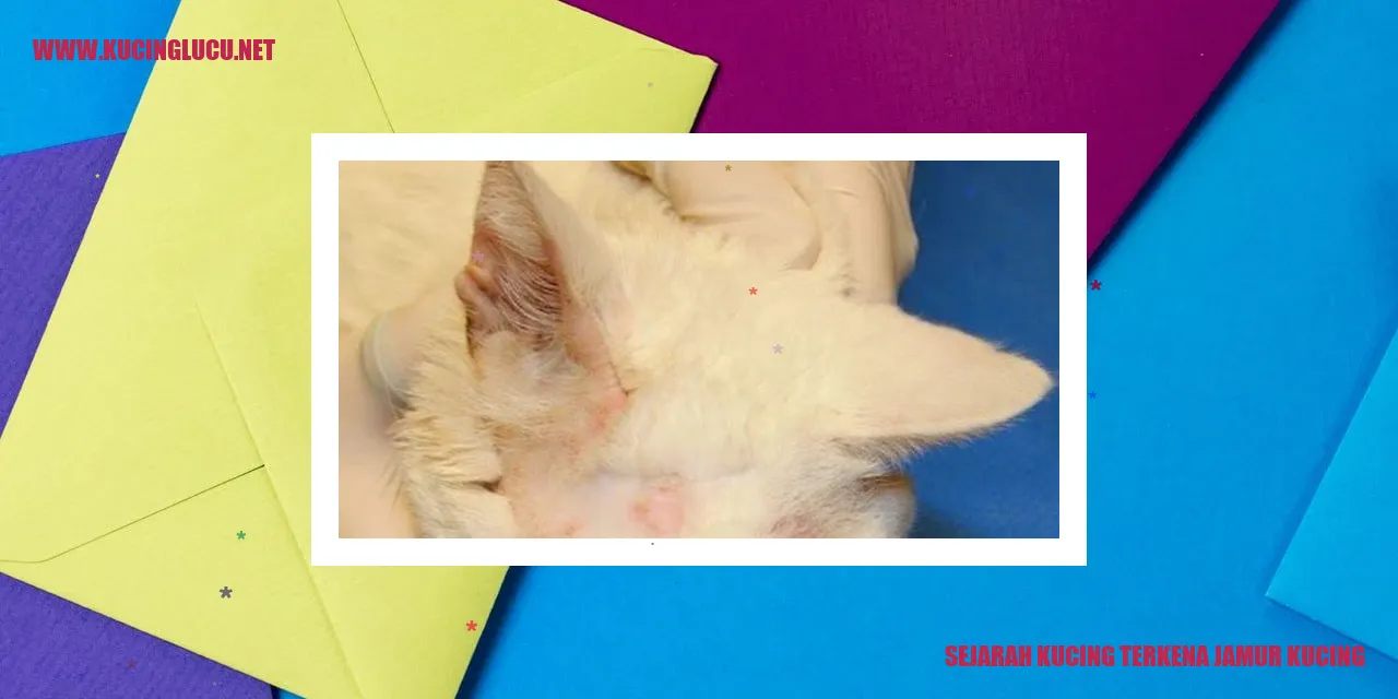 Sejarah Kucing Terkena Jamur Kucing