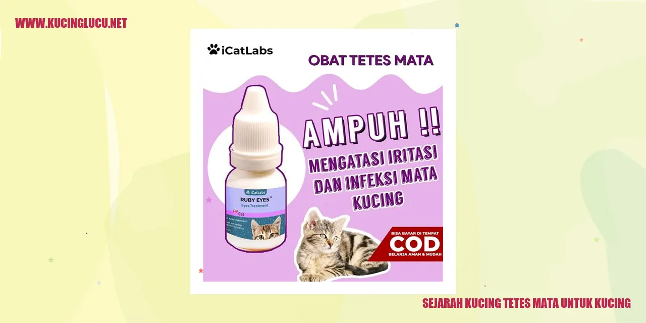 Gambar Kucing Tetes Mata
