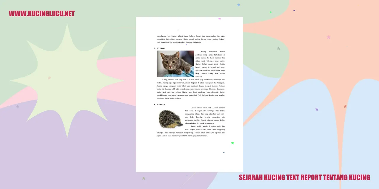 Ilustrasi kucing