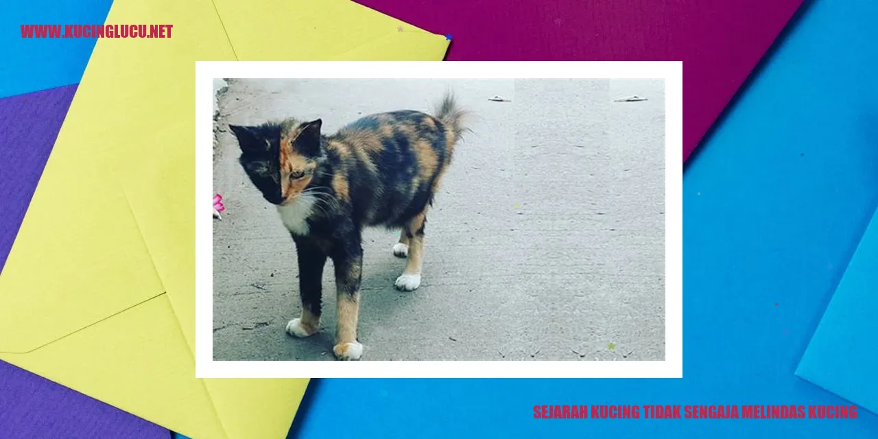 Sejarah Kucing Tidak Sengaja Melindas Kucing