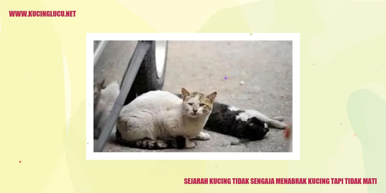 Sejarah Kucing yang Tidak Sengaja Menabrak dan Tetap Selamat