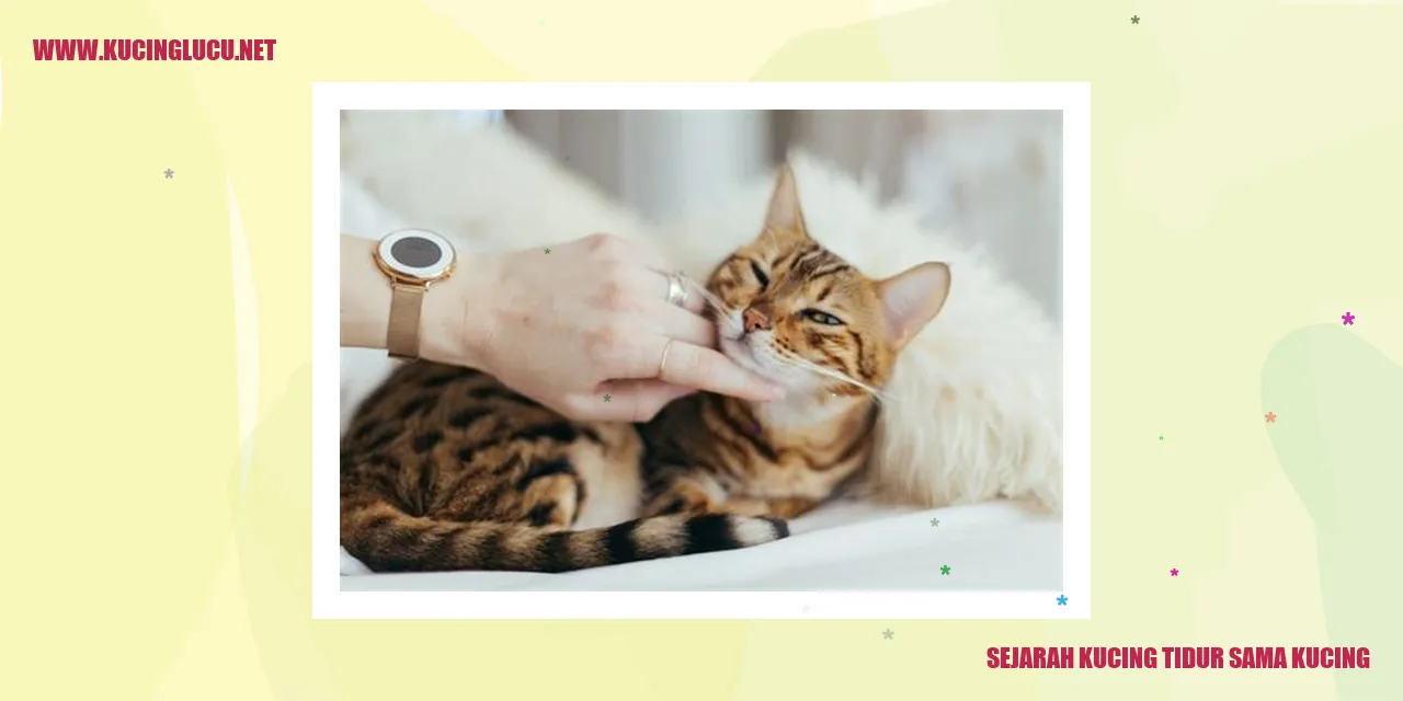 Ilustrasi Sendawa Kucing
