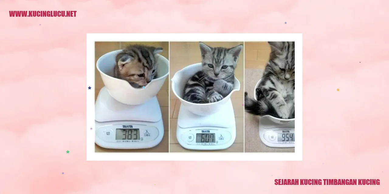 Kucing Timbangan Kucing