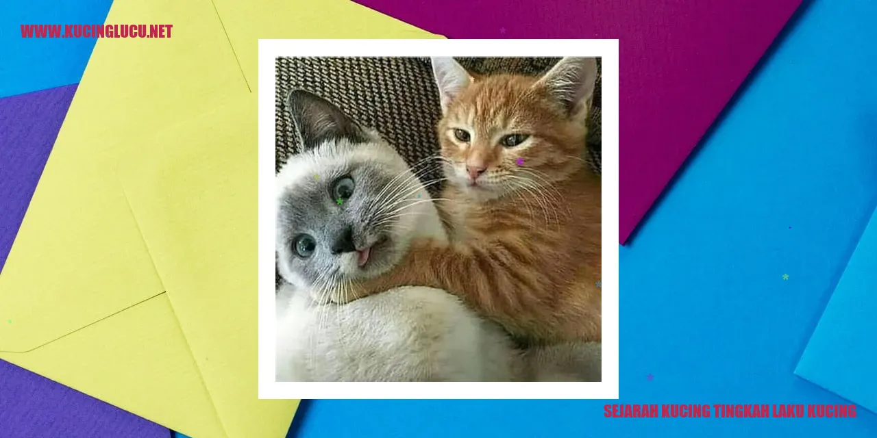 Sejarah Kucing tingkah laku kucing