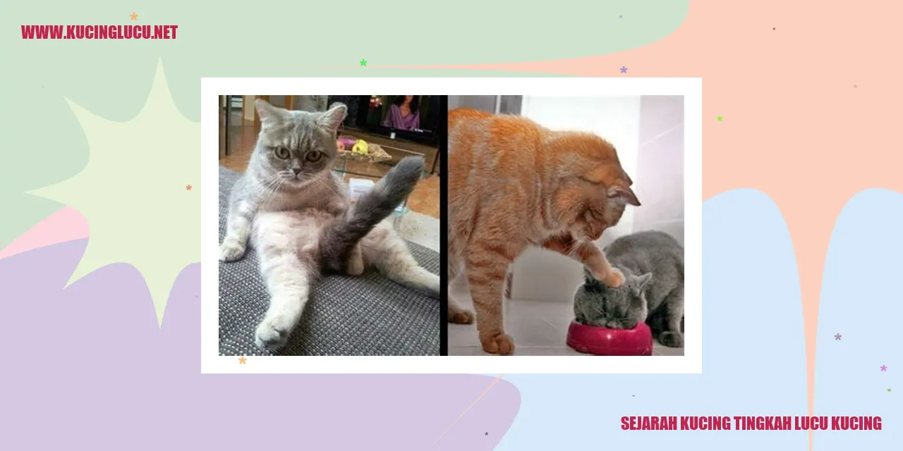 Sejarah Kucing tingkah lucu kucing