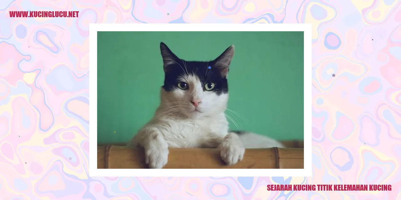 Ilustrasi Kucing dalam Sejarah