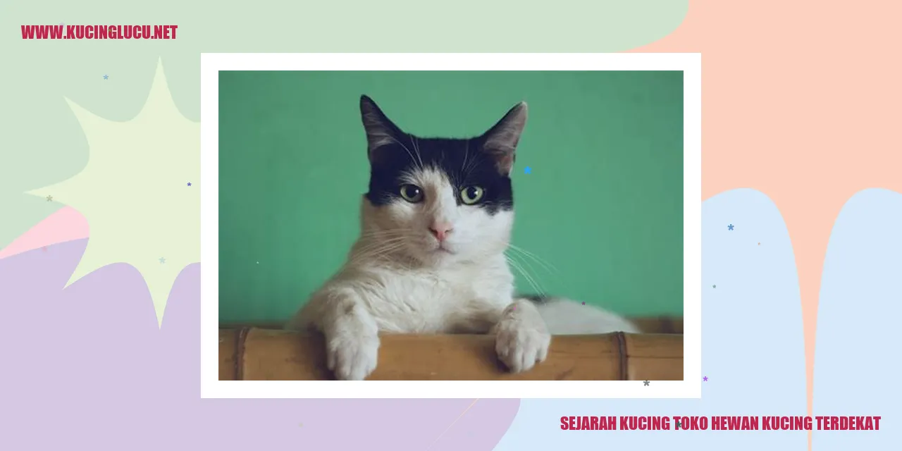 Sejarah Kucing