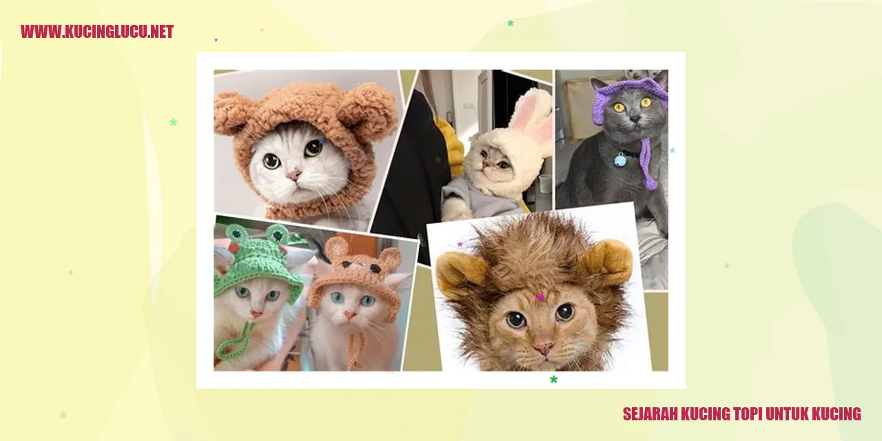 Kucing Topi