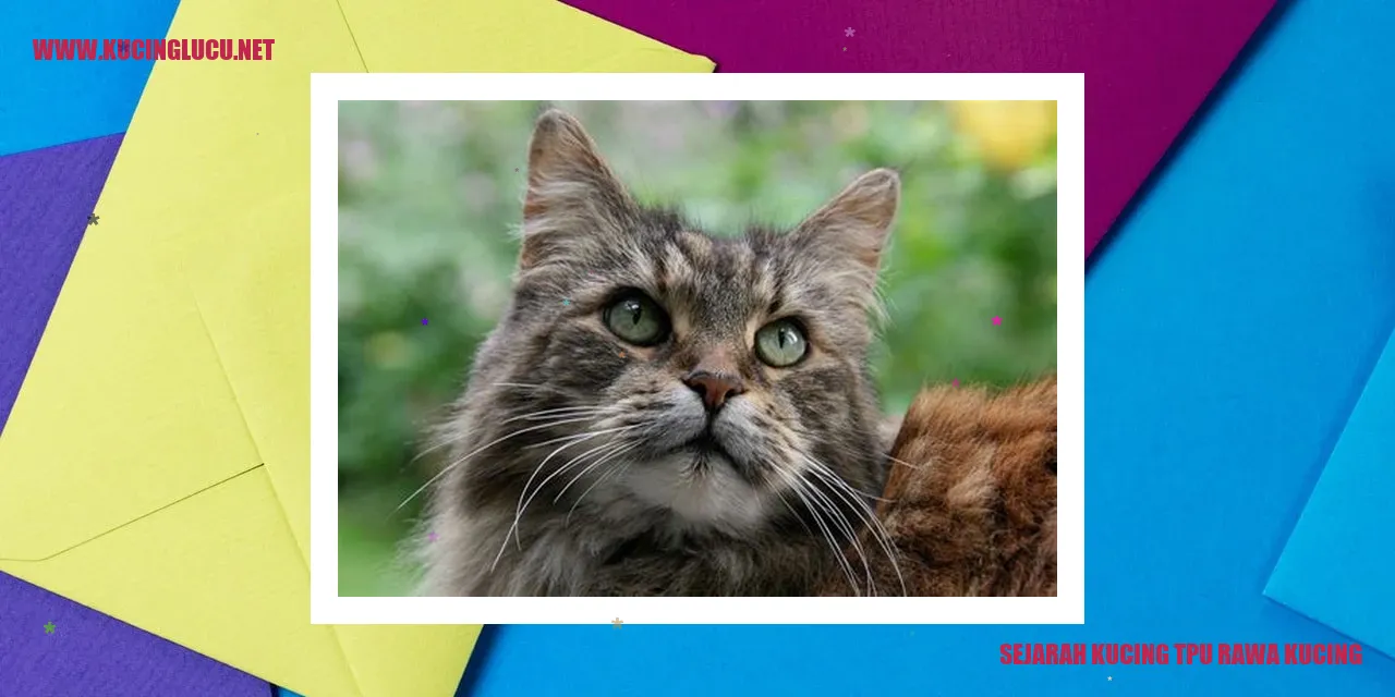 Sejarah Kucing TPU Rawa Kucing