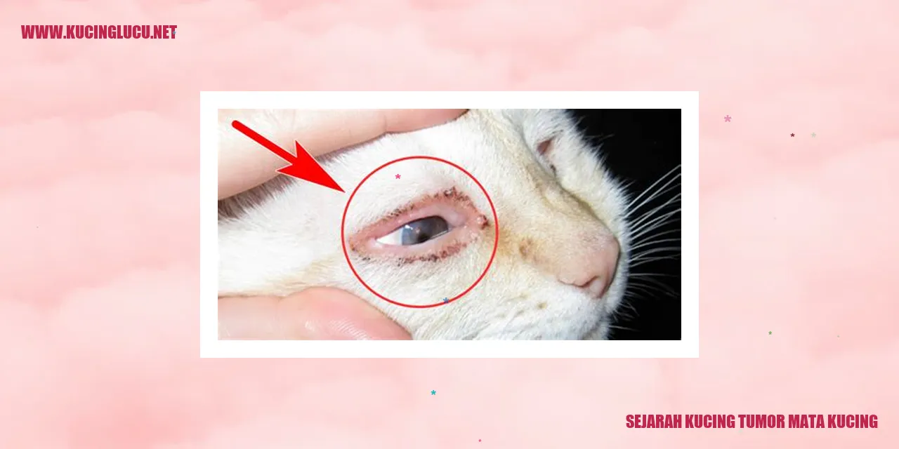 gambar kucing dengan tumor mata